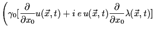 $\displaystyle \Bigg(\gamma _0 [\frac{\partial }{ \partial x_0}u(\vec x, t)+
i\,e\,u(\vec x, t) \frac{\partial }{\partial x_0}\lambda (\vec x,t)]$